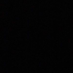 Meet your Posher, Rashi